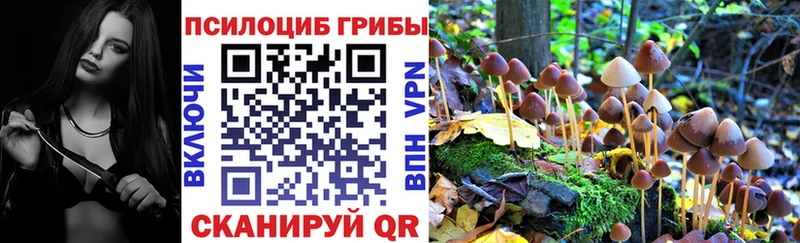 хочу наркоту  Алапаевск  Галлюциногенные грибы Cubensis 
